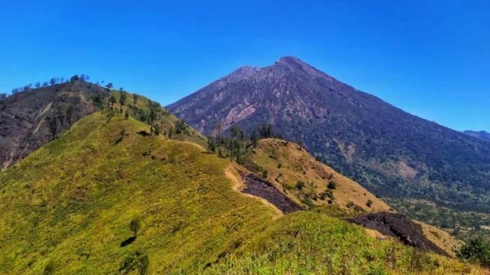BUKIT SEMBALUN : Bukit Gedong Sembalun.