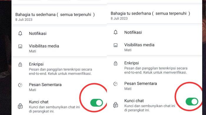 Contoh mengatur menyembunyikan pesan rahasia di WhatsApp.