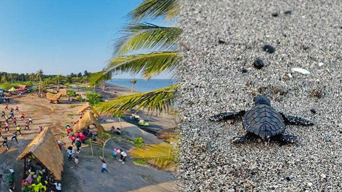 Keindahan Wisata Pantai Sunrise Land Lombok di Labuhan Haji yang menjadi konservasi penyu yangi terancam karena objek wisata ini dilelang oleh Dispar Lombok Timur. 