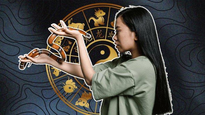 SHIO HOKI 2025 - Ilustrasi shio hoki tahun 2025.