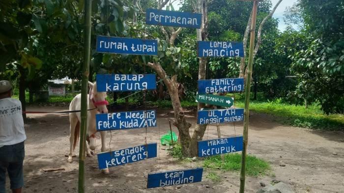 Beberapa aktivitas wisata yang bisa dilakukan di objek wisata Karang Bayan, dipajang pengelolanya. Naik kuda keliling kawasan hutan menjadi salah satu aktivitas paling digemari pengunjung.