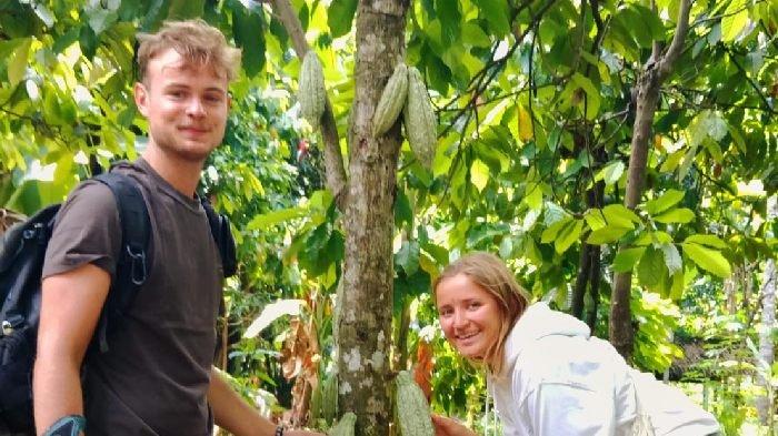 Alice dan Maxcence asala Negara Perancis saat berfoto di pohon coklat milik warga Dusun Lendang Nangka, Desa Bebidas, Kecamatan Wanasaba, Kabupaten Lombok Timur, pada Minggu (23/6/2024).