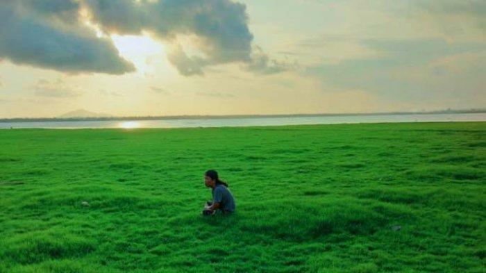 Suasana Savana Bale Tepak yang terletak di Bendungan Batujai, Desa Batujai, Kecamatan Praya Barat, Kabupaten Lombok Tengah.