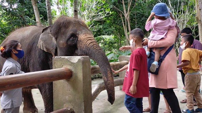 Pengunjung bermain dengan gajah koleksi Lombok Wildlife Park, di Lombok Utara, Juli 2021.