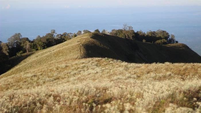 BUKIT SEMBALUN : Wisata pendakian Puncak Sempana yang terletak di wilayah Desa Sembalun Bumbung, Lombok Timur.