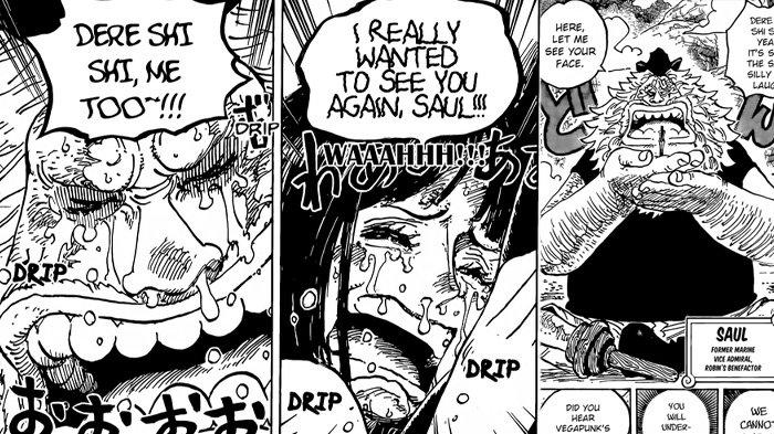 Robin Saul Manga One Piece Chapter 1133