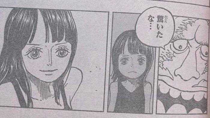 Robin dan Saul Raw Manga One Piece Chapter 1133 Bahasa Indonesia