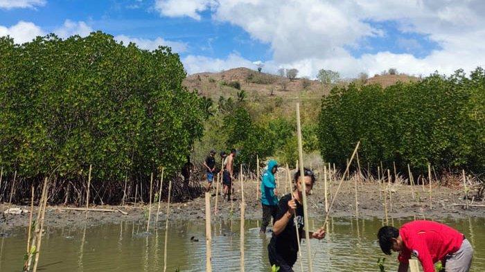 Wapala FH Unram mengadakan kemah bakti lingkungan di Dusun Labuan Petung,  Sekotong Barat, Kabupaten Lombok Barat. Kegiatan mereka antara lain pengibaran bendera Merah Putih di Tebing Semelar pada ketinggian 150 mdpl, cek kesehatan masyarakat secara gratis yang dibarengi khitanan massal.