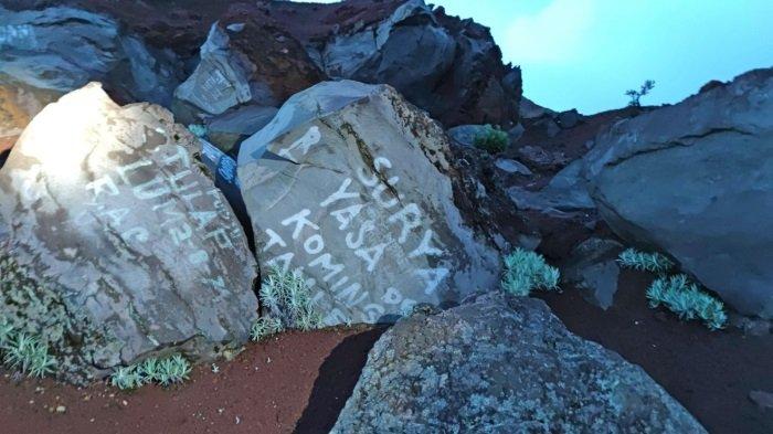 Dokumentasi coretan di sejumlah tanaman, batu, hingga pasilitas umum dari aksi vandalisme oknum wisatawan di Gunung Rinjani.