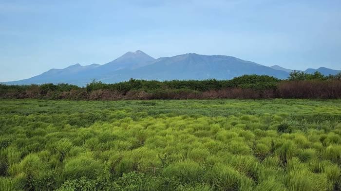 WISATA BERKUALITAS - Pemandangan Gunung Rinjani di Lombok dilihat dari salah satu sudut Pulau Paserang di Desa Poto Tano, Kecamatan Poto Tano, Kabupaten Sumbawa Barat, Nusa Tenggara Barat (NTB). Beberapa titik di Pulau Paserang menawarkan pemandangan indah kala matahari terbit dan terbenam serta pantai pasir putih dengan air laut yang jernih. 