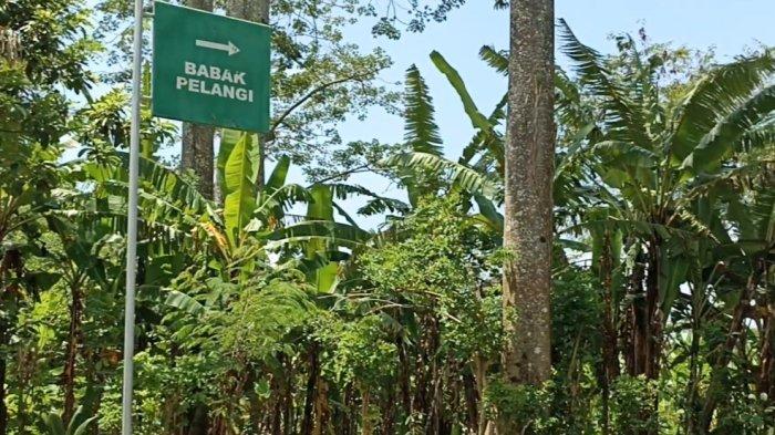 Rute menuju Air Terjun Babak Pelangi.