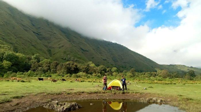 SAVANA DANDAUN - Inilah panorama di Savana Dandaun di kawasan wisata Sembalun, Lombok Timur, Nusa Tenggara Barat. Dari savana ini Puncak Gunung Rinjani terlihat jelas, dan juga jejak gunung api purba Sembalun.