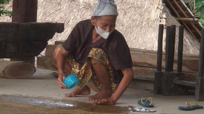 Seorang warga Desa Adat Ende di Kecamatan Pujut, Lombok Tengah melumuri lantai rumah dengan kotoran sapi, Rabu (11/1/2023). Rumah Adat Desa Ende dinamakan Bale Tani dengan makna bale berarti rumah serta tani berarti petani. 