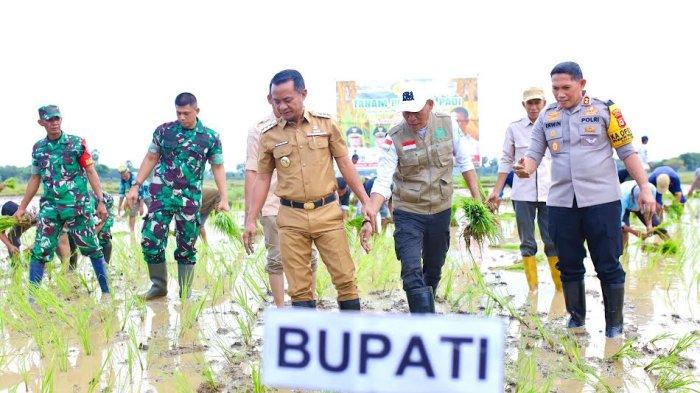 TANAM PERDANA - Potret Bupati Bone, Andi Asman Sulaiman (baju coklat) tanam perdana di Desa Unra, Bone, Sulawesi Selatan, Minggu (2/3/2025). Andi Asman ingin jadikan Desa Unra dan Kajuara sebagai lahan percontohan di Bone.
