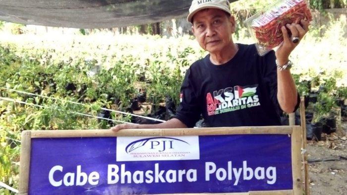 Kebun Cabai Bhaskara Pengda PJI Sulsel di Makassar, Oktober 2024