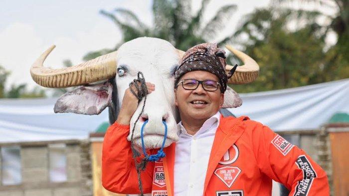 Calon Gubernur Sulawesi Selatan, Danny Pomanto.