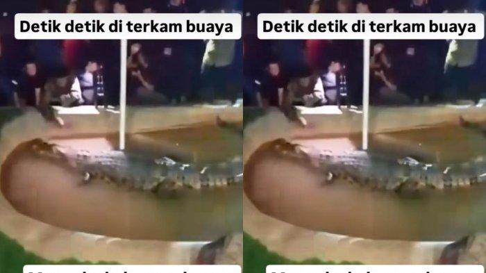 Tangkapan layar video pria diterkam saat memberi makan buaya di Cimory, Gowa, Sulsel, dibagikan akun Instagram @dasadlatif212, Selasa (18/2/2025). Tangan korban hampir putus akibat gigitan tersebut.