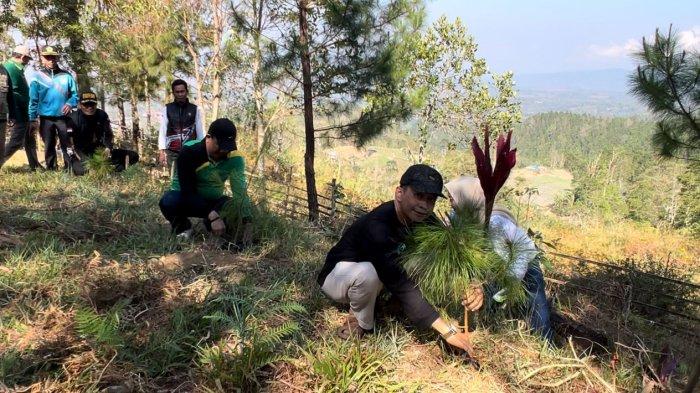 Penanaman pohon pinus di Dusun Lembang Bu'ne, Cikoro, Desa Parang Bintolo, Kecamatan Tompobulu, sekitar 71 km tenggara Sungguminasa, Gowa, Sulsel, Ahad atau Minggu (29/10/2023) pagi. Kegiatan sosial ini diikuti Kakankemenag Gowa HM Aminuddin, kepala kantor urusan agama (KUA) dari kecamatan pedalaman Gowa, guru, siswa 20 madrasah, dan santri dari 2 ponpes.