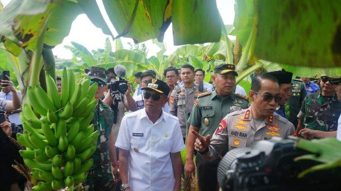 Kapolda Sulsel, Irjen Pol Andi Rian R Djajadi; Pangdam XIV/Hasanuddin, Mayjen TNI Bobby Rinal Makmun; Panglima Divisi Infanteri 3/Kostrad, Mayjen TNI Bangun Nawoko; dan Danlantamal VI Makassar Brigjen TNI (Marinir) Andi Rahmat mengunjungi kebun pisang cavendish di Desa Batu Gading, Kecamatan Mare, Bone, Sulsel, Rabu (19/6/2024). Mereka disambut Pj Bupati Bone, Andi Islamuddin.