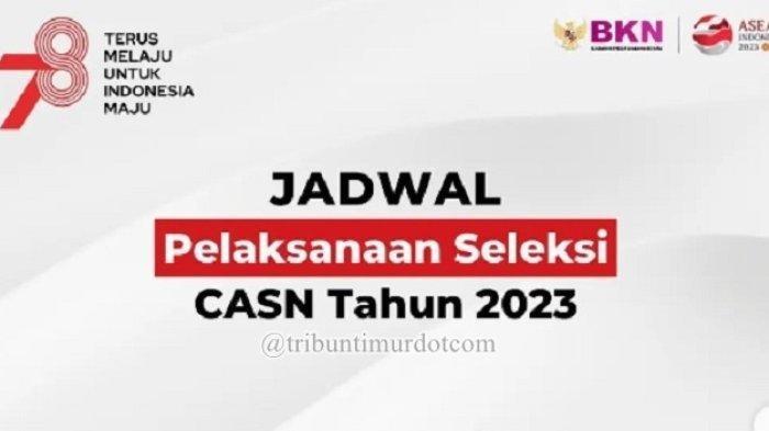 Jadwal Pelaksanaan Seleksi CASN Tahun 2023. Login https://sscasn.bkn.go.id/ - Jadwal Terbaru CPNS 2023 dan PPPK 2023.