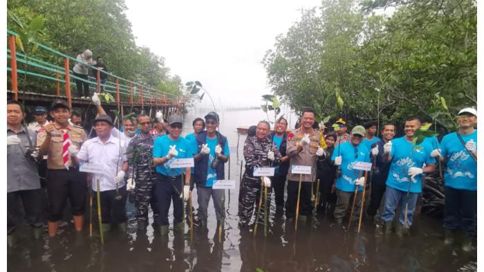 PT VALE TANAM MANGROVE- Wakil Presiden Direktur & Chief Operations & Infrastructure Officer PT Vale Abu Ashar, Chief Human Capital Officer PT Vale Arsiansyah Chaniago, dan Asisten Perekonomian dan Pembangunan Pemkab Luwu Timur Masdin, Danlantamal VI Makassar Brigjen TNI Marinir Wahyudi, Kepala Bidang Dinas Kelautan dan Perikanan Arsal, dan Ketua Yayasan Konservasi Cinta Laut Indonesia Muh Reza, melakukan penanaman pohon mangrove di Desa Pasi-pasi, Malili, Luwu Timur, Sabtu (26/7/2025). Penanaman ini bagian dari perayaan Hari Mangrove Sedunia yang dicanangkan PT Vale Indonesia.