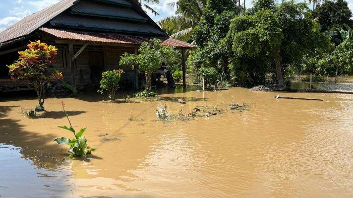 Puluhan rumah di Kampung Marobo, Palopo terendam banjir setelah tanggul Sungai Salubattang jebol, Rabu (15/1/2025). 