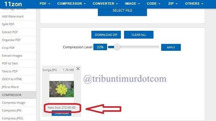 Resize Image - Cara Kompres Foto JPG Online, Kompres JPG Jadi 200 Kb untuk CPNS 2023 dan PPPK 2023.