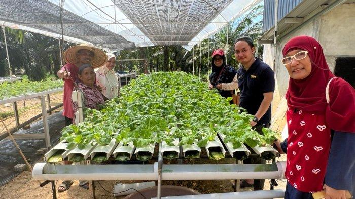 Unismuh Makassar dan Fakulti Pertanian Lestari Universiti Malaysia Sabah (UMS Sabah) berhasil melaksanakan tahap ketiga dan keempat dari program pengabdian masyarakat internasional mereka.