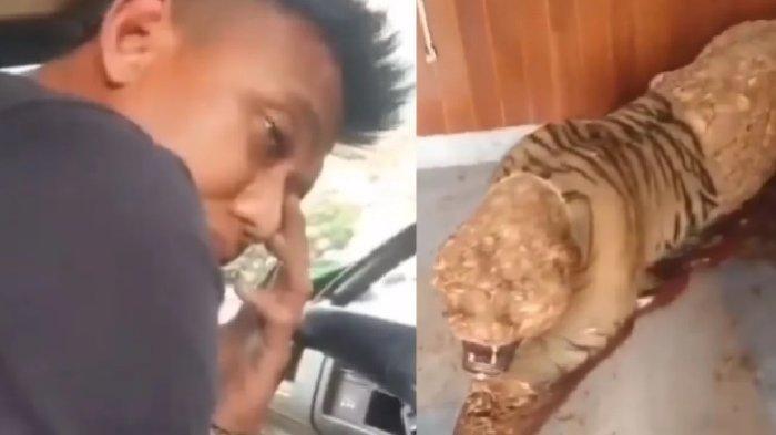 Viral Prajurit TNI kulit harimau milik komandannya sendiri, hanya bisa pasrah saat diamankan Provo.