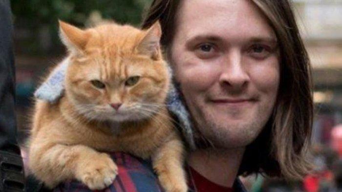 Ingat Kucing Bob? Dikabarkan Mati, Jagat Maya Bersedih hingga Jadi ...