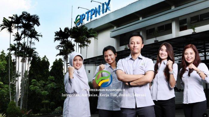 Cocok untuk Mahasiswa yang Cari Pengalaman Kerja, PT Perkebunan