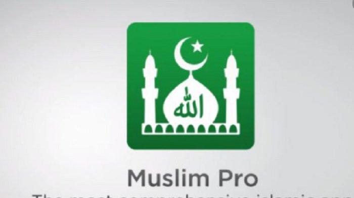 Membangun Bisnis Online Sukses: Panduan Aplikasi Google Play Store Terbaik