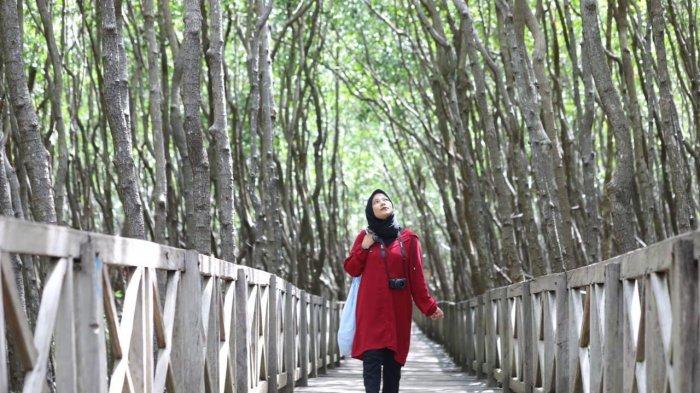 Wartawati Tribun, Sukmawati, menikmati keindahan kawasan Hutan Mangrove Tongke-tongke yang terletak di Kecamatan Sinjai Timur, Kabupaten Sinjai, Sulawesi Selatan (Sulsel).