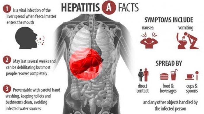 Penyakit Hepatitis