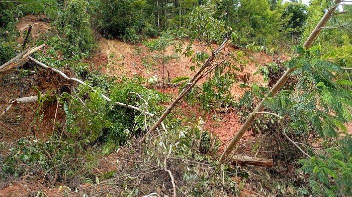 Longsor di Jalan Trans Palopo-Bastem, Kelurahan Latuppa, Kecamatan Mungkajang, Selasa (9/4/2024) 
 