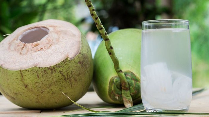 Air Kelapa Punya Segudang Manfaat, Tapi Tak Boleh Diminum oleh Orang yang Punya Penyakit Ini! - Halaman all - Tribun-timur.com