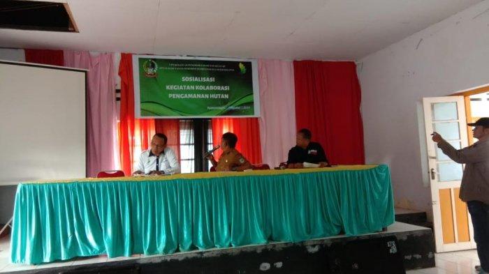 Pemerhati Lingkungan Selayar Sayangkan Izin Pengolahan Rotan di Hutan ...