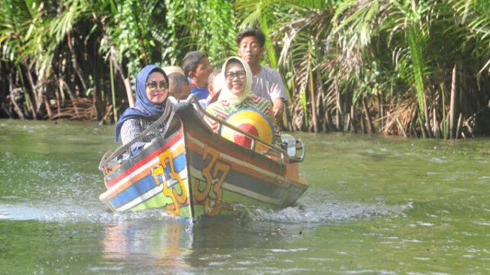 Ketua Tim Penggerak (TP) PKK Provinsi Sulsel Tri Rahayu Soemarsono, mengunjungi objek wisata yang terletak di Kabupaten Maros.

Tri mengunjungi Taman Nasional Bantimurung-Bulusaraung (atau disingkat TN Babul), Taman Prasejarah Leang Leang, dan Gugusan Pegunungan Kapur Rammang-rammang