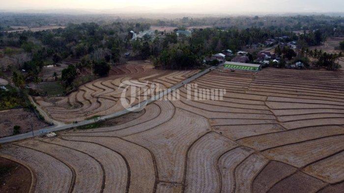 Suasana kekeringan di Desa Mappesangka, Kecamatan Ponre terekam menggunakan kamera drone yang terletak di Kabupaten Bone. Sulsel, Selasa (14/11/2023). Kekeringan ini sudah berlangsung lama sehingga para petani tidak lagi memproduksi sawahnya, menurut warga sekitar hujan tak pernah turun sejak 3 bulan terkahir.