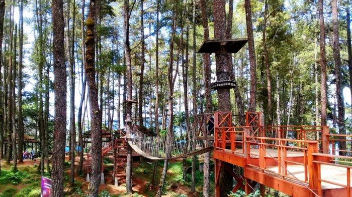 Agrowisata Hutan Pinus Pango-Pango, Kelurahan Pasang, Kecamatan Makale Selatan, Kabupaten Tana Toraja.