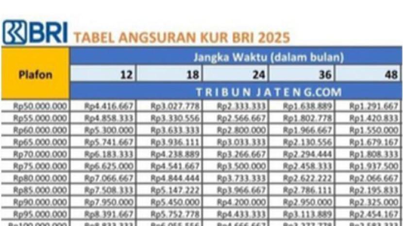 Tabel Angsuran KUR BRI 2025 Pinjaman Rp100 Juta, Syarat Lebih Mudah