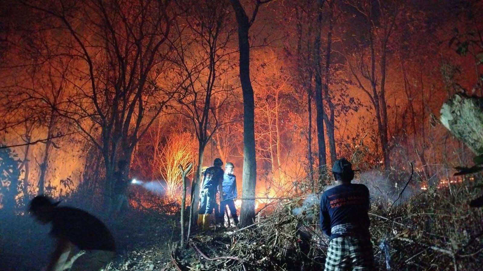Karhutla Landa Sidrap, 32 Hektare Lahan Hangus Sepekan