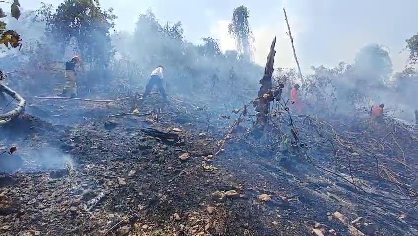 Karhutla Meluas di Luwu, Warga Siaga Hadapi Kepungan Api