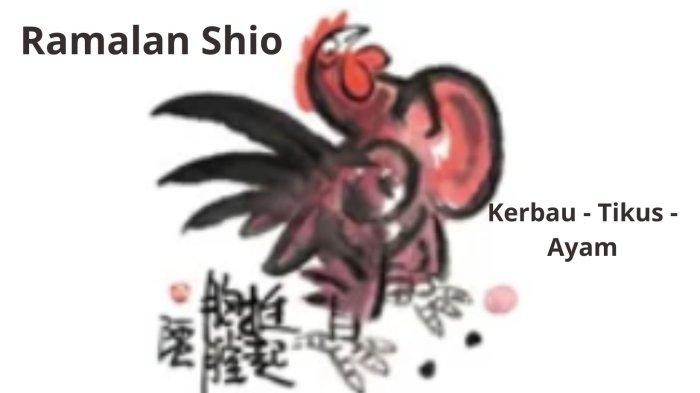 3 Shio Paling Hoki Hari Ini Senin 4 Desember 2023 Shio Kerbau Suka Kesibukan Tribunmanado Co Id 3 Shio Paling Hoki Hari Ini Senin 4 Desember 2023 Shio Kerbau Suka Kesibukan Tribunmanado Co Id