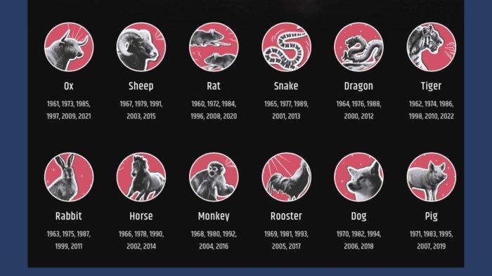 Simbol 12 Shio. Ramalan 7 shio paling hoki hari ini Kamis 10 Agustus 2023. Ada Kambing, Naga dan Ayam dengan 