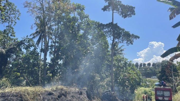 Kebakaran alang-alang yang terjadi di Bitung, Sulawesi Utara, Rabu (4/10/2023).