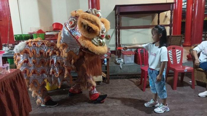 Aksi Barongsai, tujuh macan atau lion di Klenteng Seng Bo Kiong jelang Tahun Baru Imlek 2575
