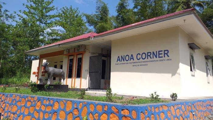 Anoa Breeding Center di Jalan Adipura Raya, Kima Atas, Mapanget, Manado, Sulawesi Utara.