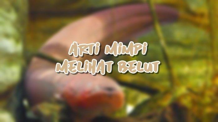 Tafsir mimpi belut