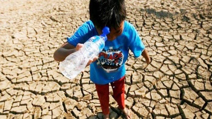 Ilustrasi dampak El Nino